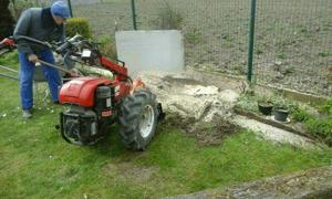 Uitfrezen boomwortels